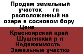 Продам земельный участок 3.1 га. расположенный на озере в сосновом бору. › Цена ­ 1 600 000 - Красноярский край, Шушенский р-н Недвижимость » Земельные участки продажа   